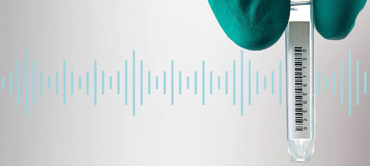 line中文谐音怎么读